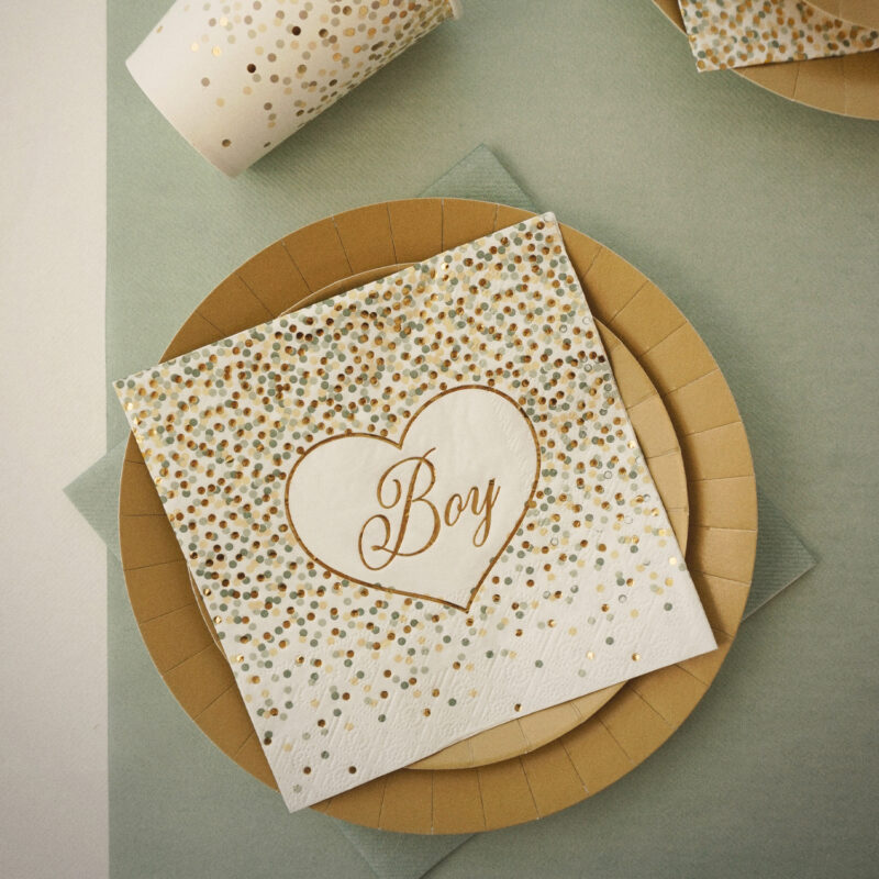 Thème BabyShower Boy
